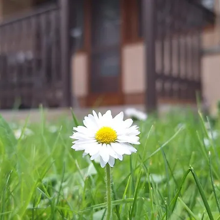 For Apartman Gyula